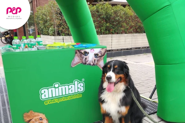 Perrito al lado de la publicidad